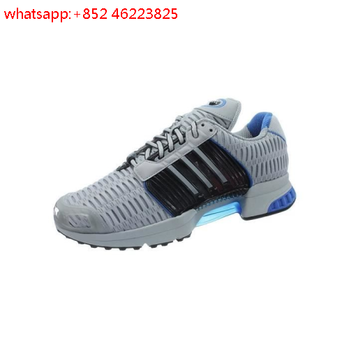 basket climacool 1